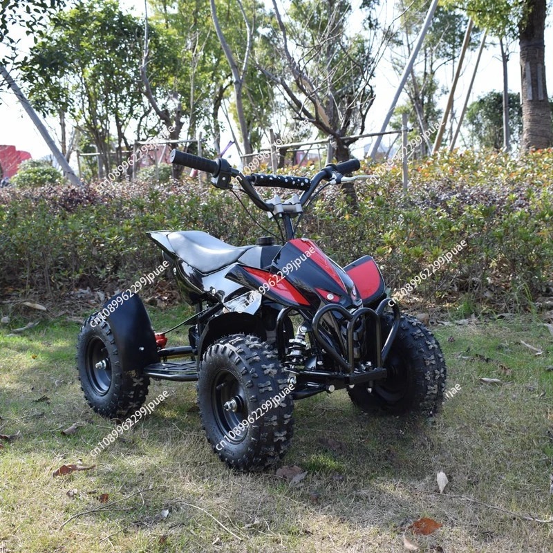 49cc 2-Stroke Mini Motorcycle  - Kids Outdoor Quad Bike ulasan dan harga