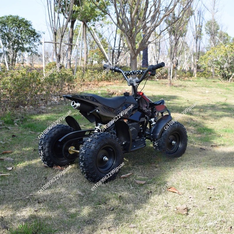 49cc 2-Stroke Mini Motorcycle  - Kids Outdoor Quad Bike ulasan dan harga