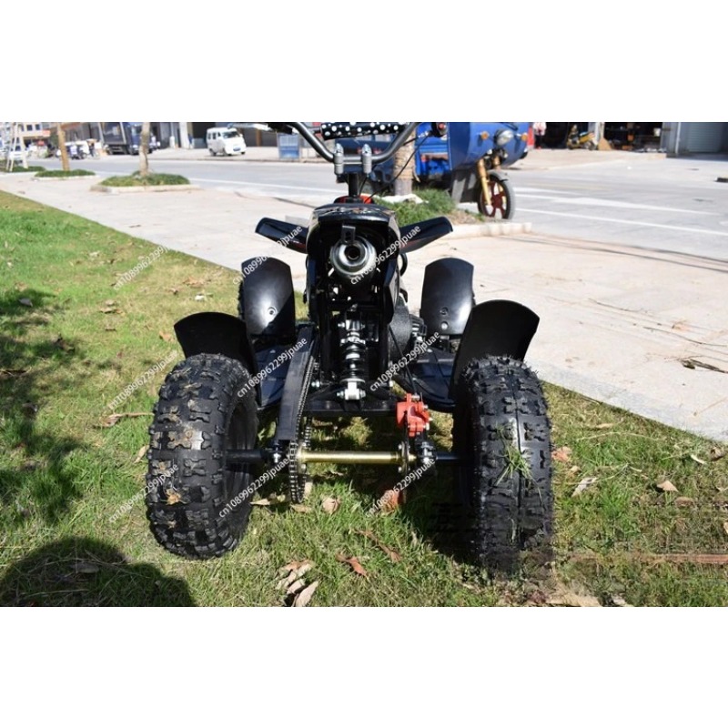 49cc 2-Stroke Mini Motorcycle  - Kids Outdoor Quad Bike ulasan dan harga