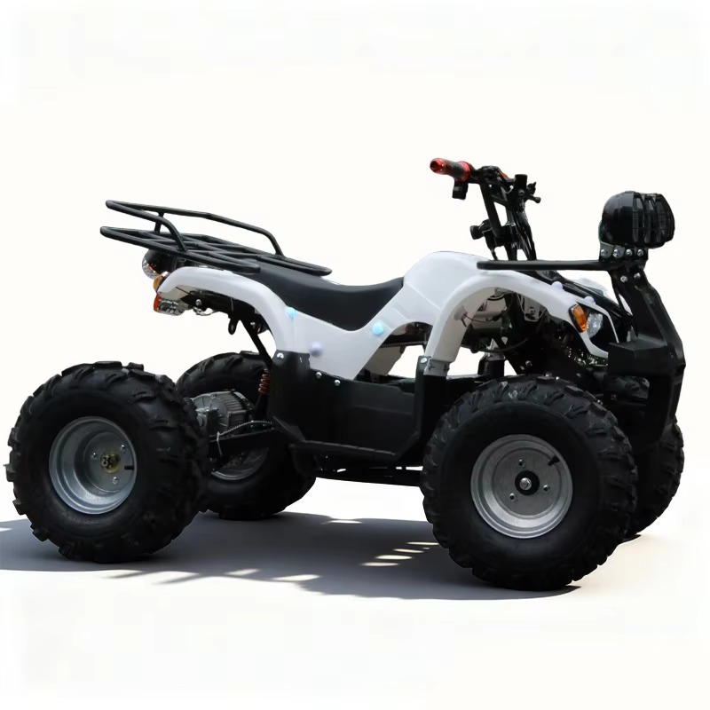 750W 48V Kids Electric ATV Qua - Kids Outdoor Quad Bike ulasan dan harga