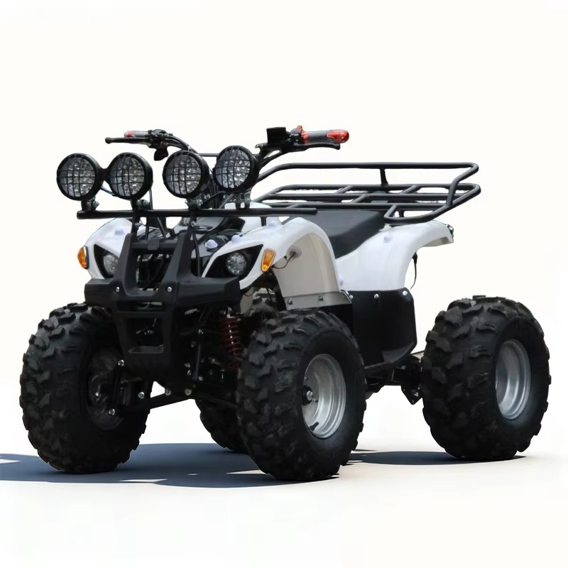 750W 48V Kids Electric ATV Qua - Kids Outdoor Quad Bike ulasan dan harga