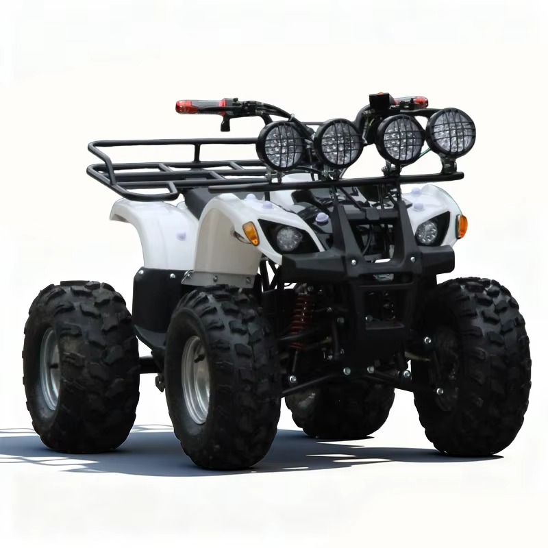750W 48V Kids Electric ATV Qua - Kids Outdoor Quad Bike ulasan dan harga