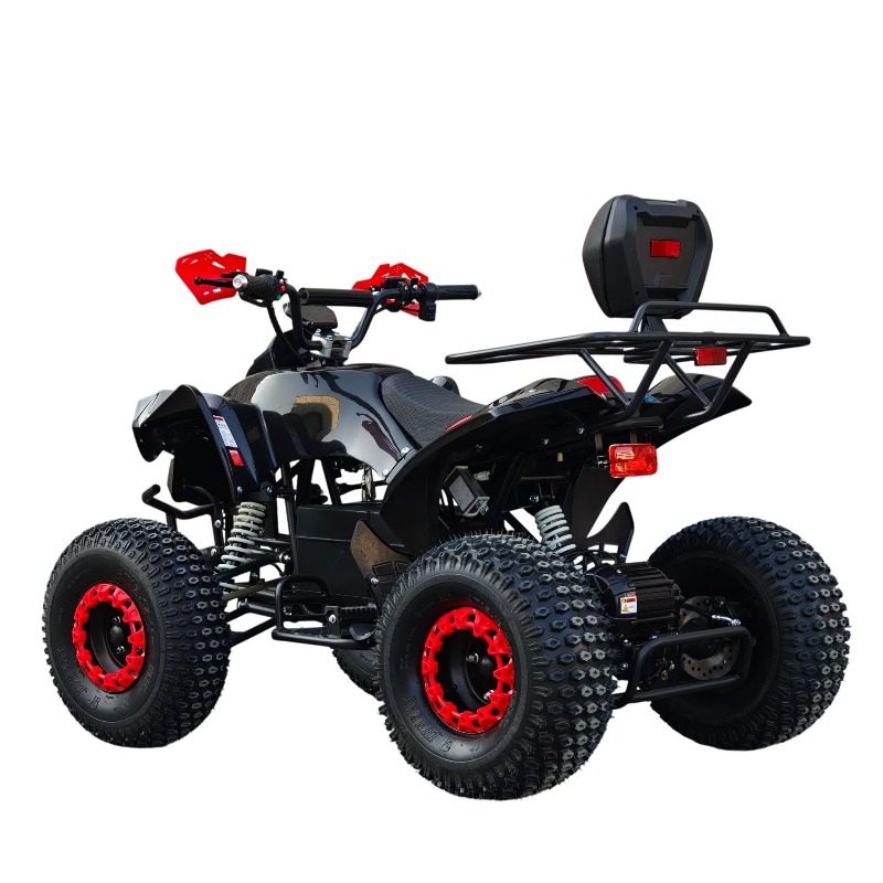Electric Shaft Drive ATV Quad  - Kids Outdoor Quad Bike ulasan dan harga