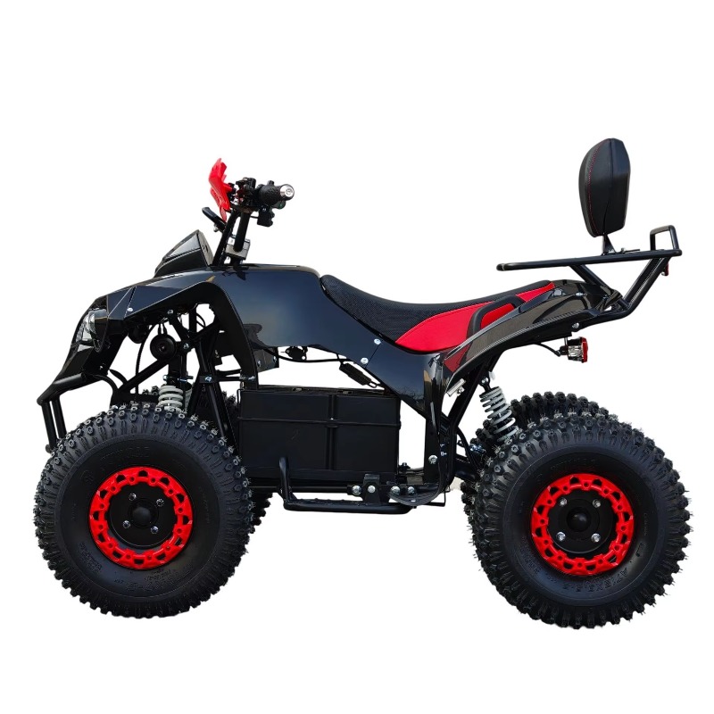 Electric Shaft Drive ATV Quad  - Kids Outdoor Quad Bike ulasan dan harga