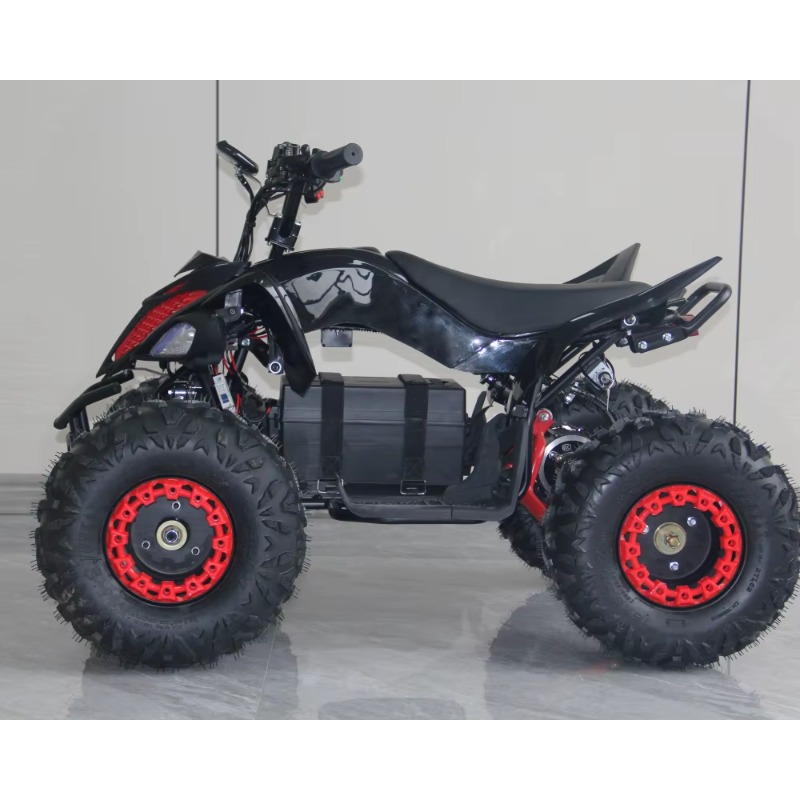 48V 1000W Electric Kids ATV 4  - Kids Outdoor Quad Bike ulasan dan harga