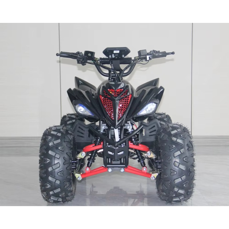 48V 1000W Electric Kids ATV 4  - Kids Outdoor Quad Bike ulasan dan harga