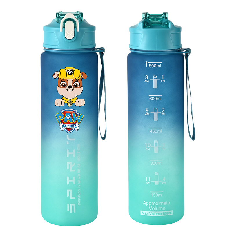 800ml PAW Patrol Sports Water  - Kids Outdoor Gym ulasan dan harga