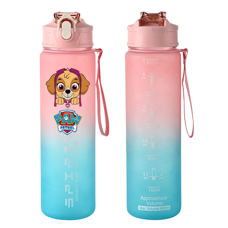 800ml PAW Patrol Sports Water  - Kids Outdoor Gym ulasan dan harga