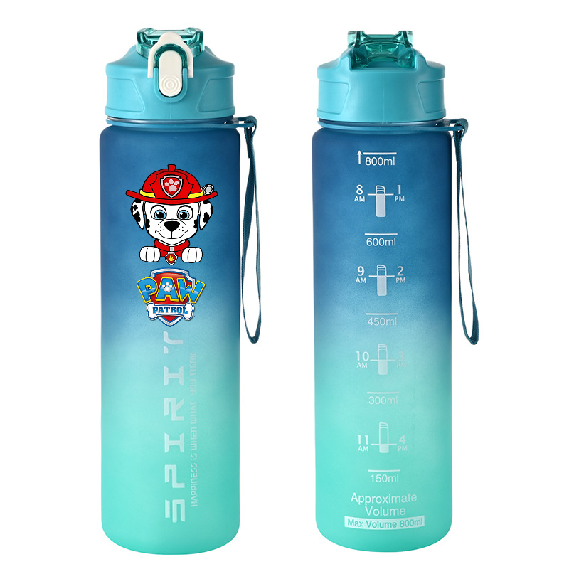 800ml PAW Patrol Sports Water  - Kids Outdoor Gym ulasan dan harga