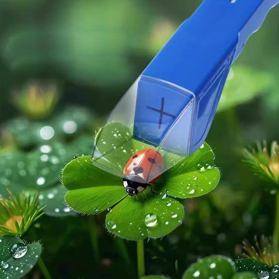 Kids Insect Catcher Box Magnif - Kids Outdoor Gifts ulasan dan harga